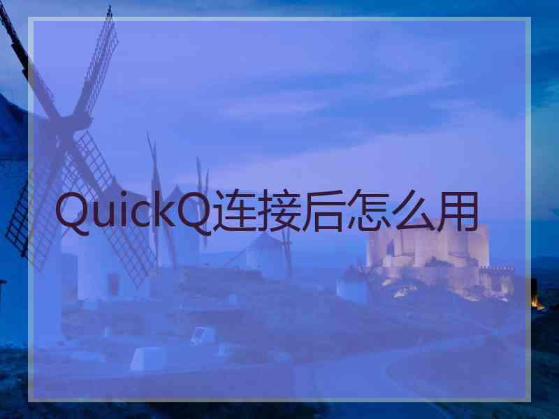 QuickQ连接后怎么用