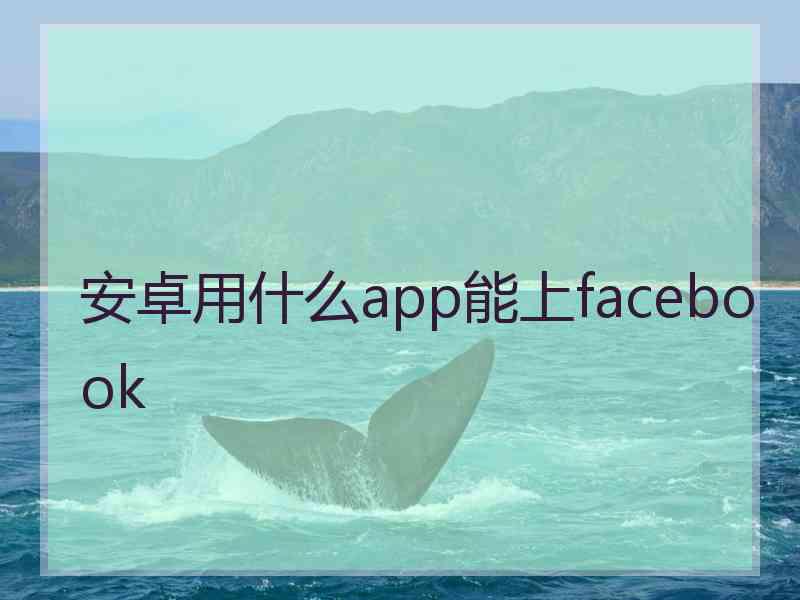 安卓用什么app能上facebook