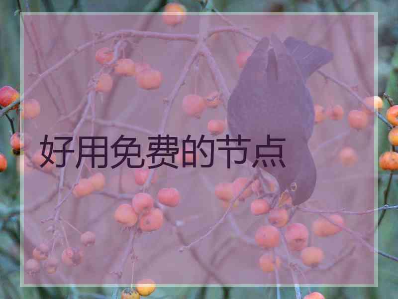 好用免费的节点