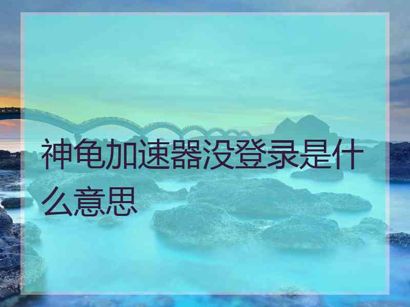 神龟加速器没登录是什么意思