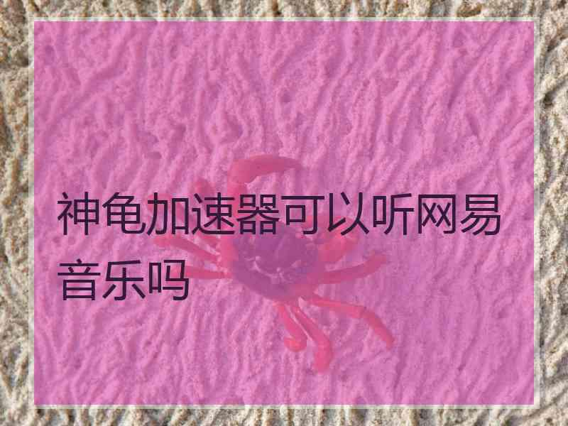 神龟加速器可以听网易音乐吗