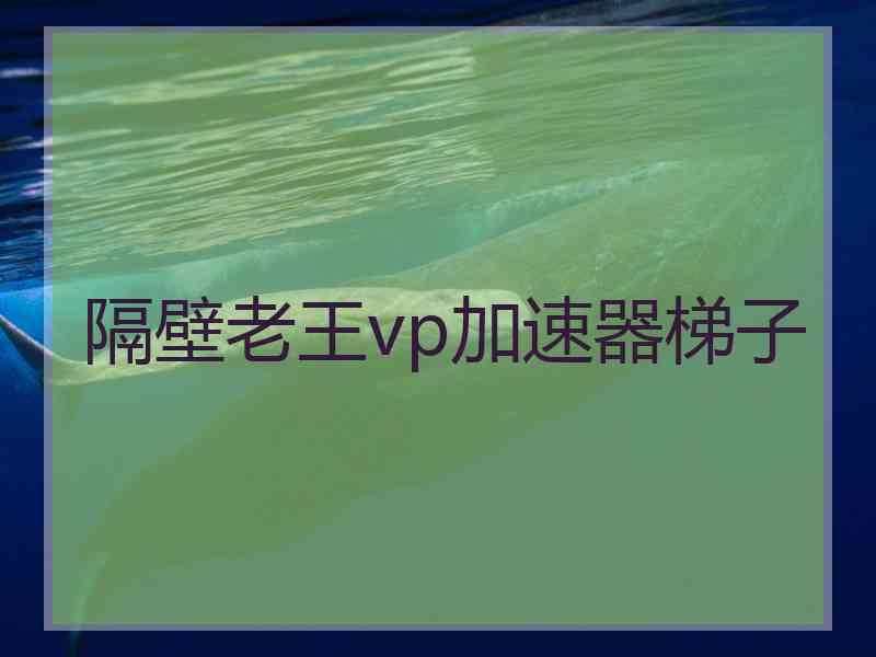 隔壁老王vp加速器梯子