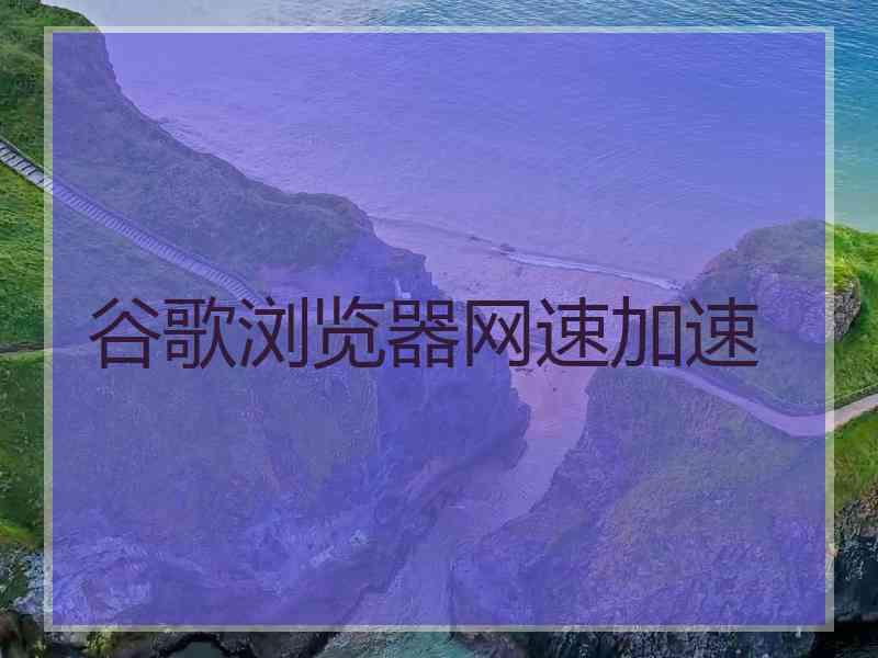 谷歌浏览器网速加速