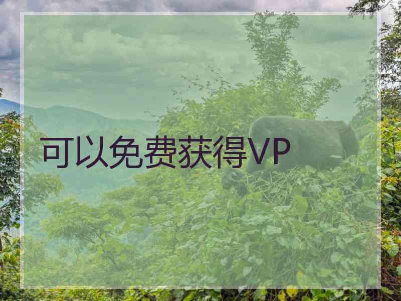 可以免费获得VP