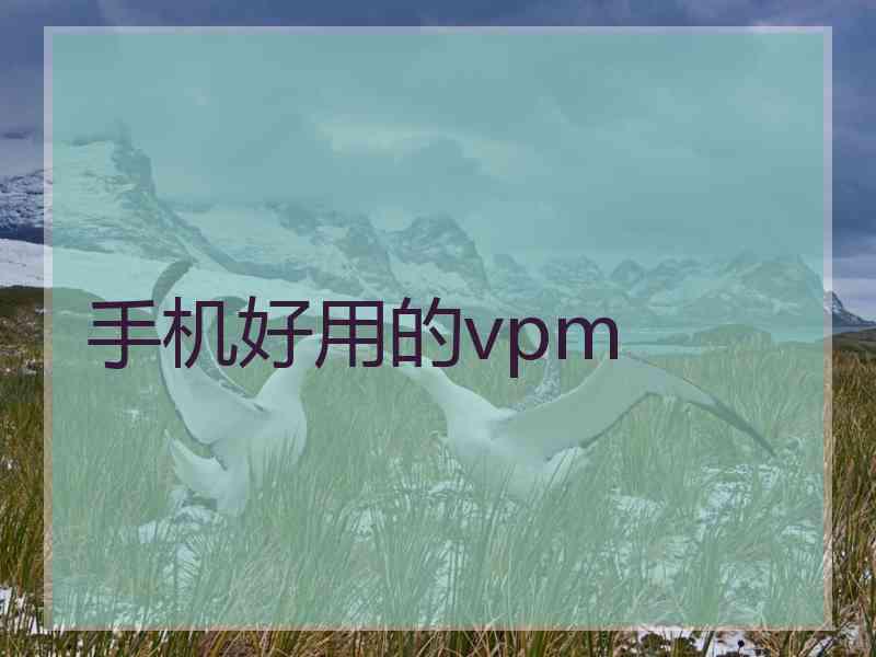 手机好用的vpm