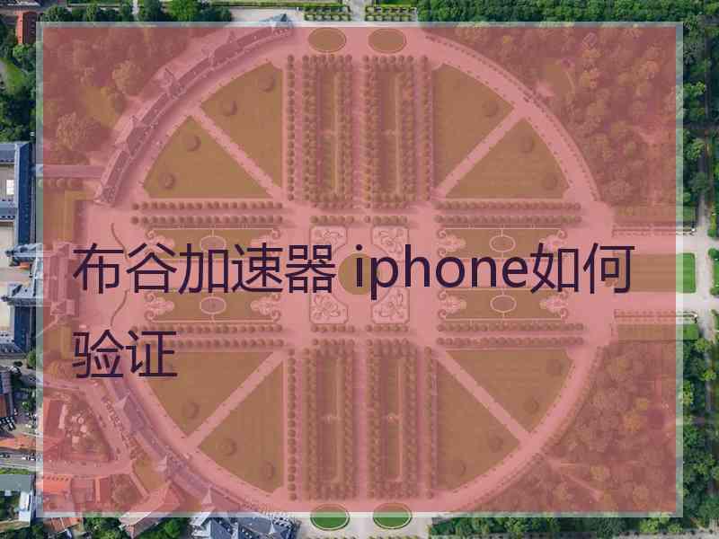 布谷加速器 iphone如何验证