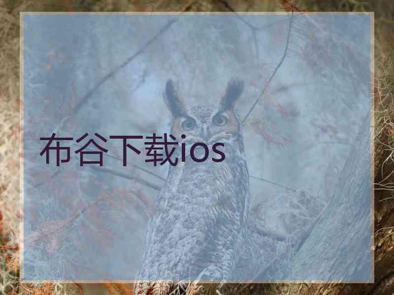 布谷下载ios