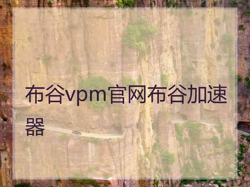 布谷vpm官网布谷加速器