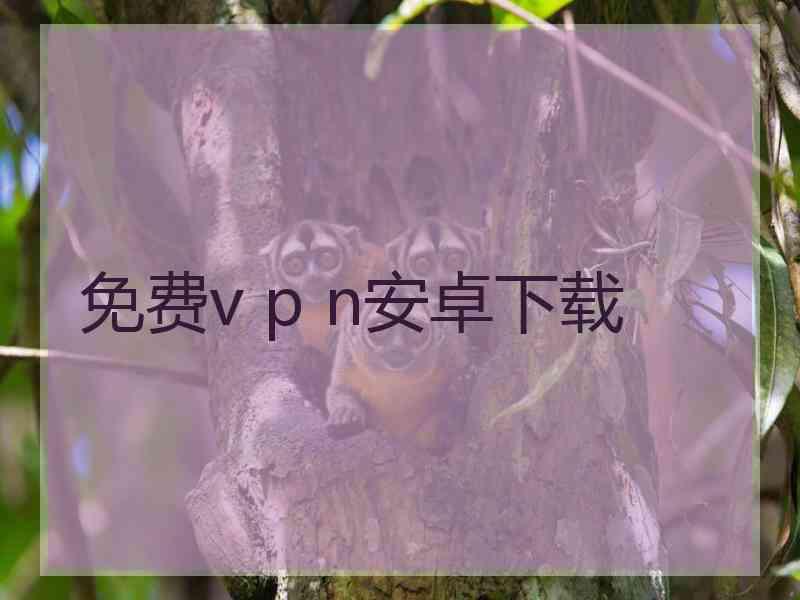 免费v p n安卓下载