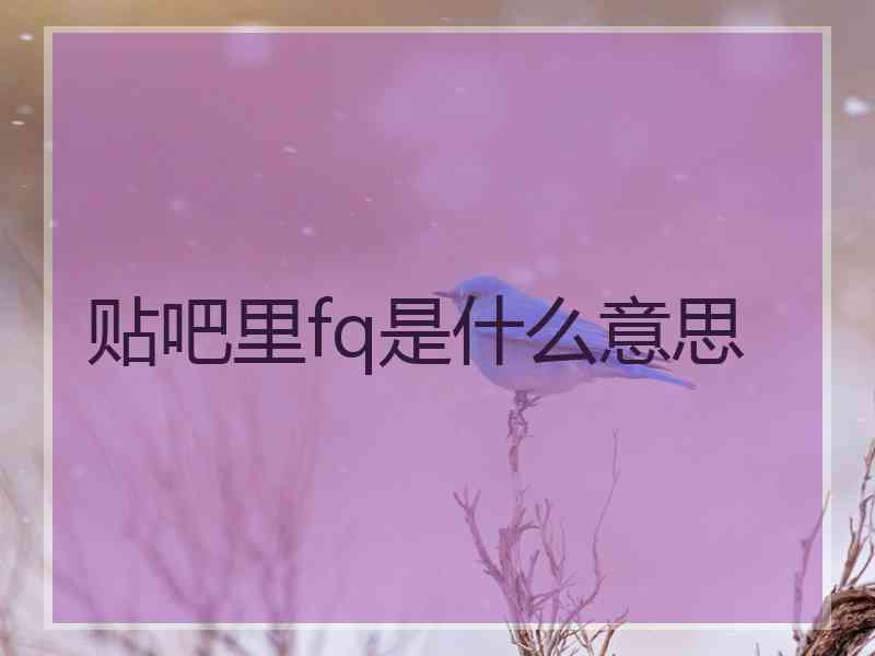 贴吧里fq是什么意思