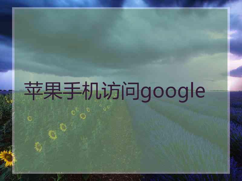 苹果手机访问google