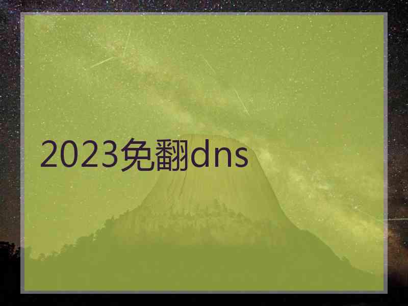 2023免翻dns