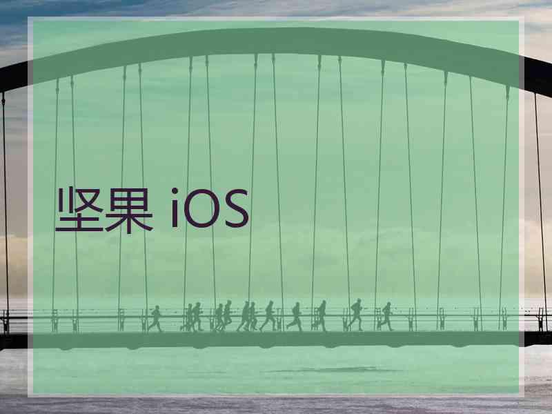 坚果 iOS