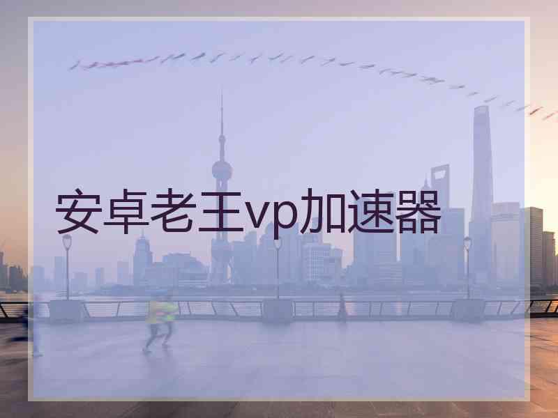 安卓老王vp加速器