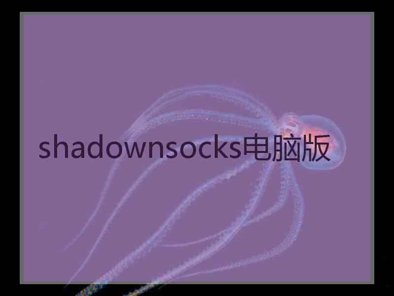 shadownsocks电脑版