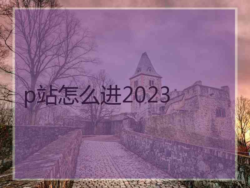 p站怎么进2023