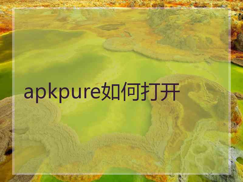 apkpure如何打开