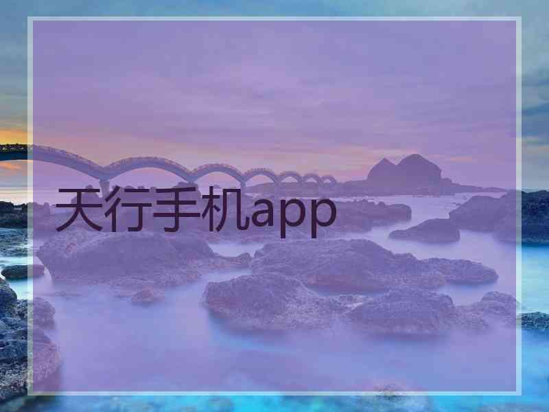 天行手机app