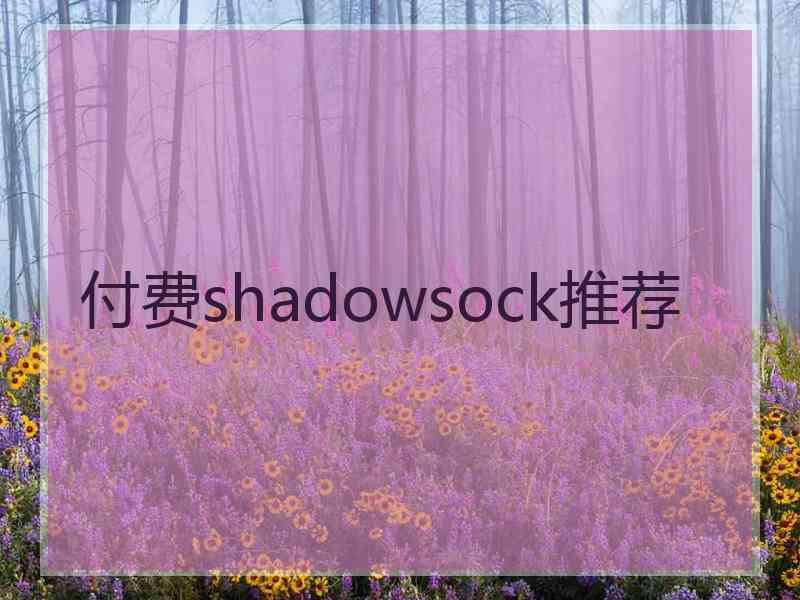 付费shadowsock推荐