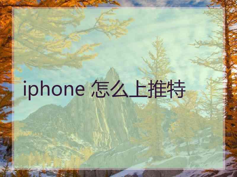 iphone 怎么上推特