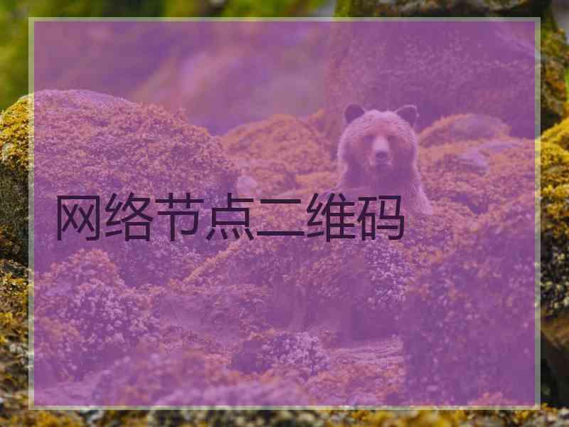 网络节点二维码