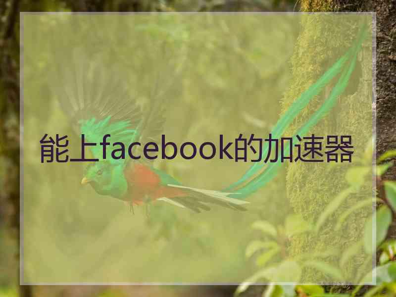 能上facebook的加速器