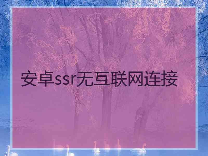 安卓ssr无互联网连接