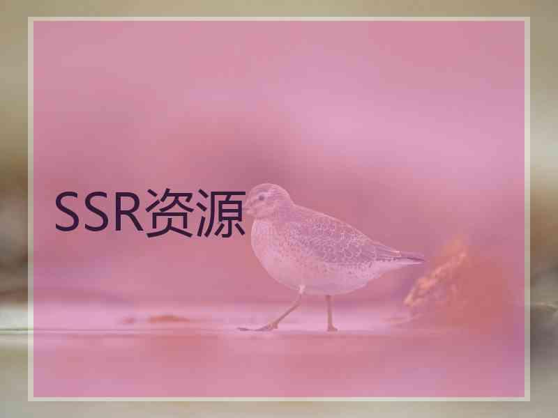 SSR资源