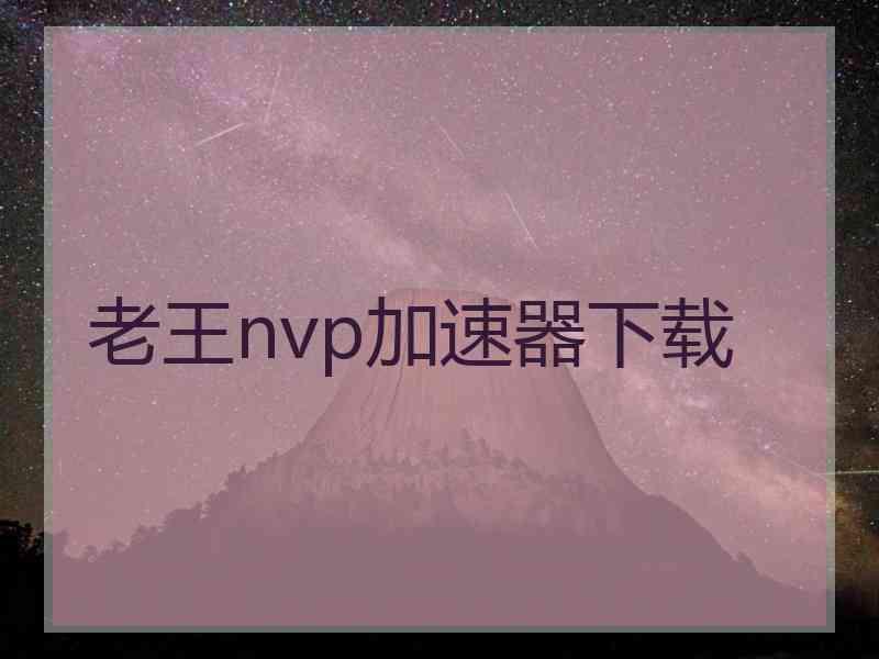 老王nvp加速器下载