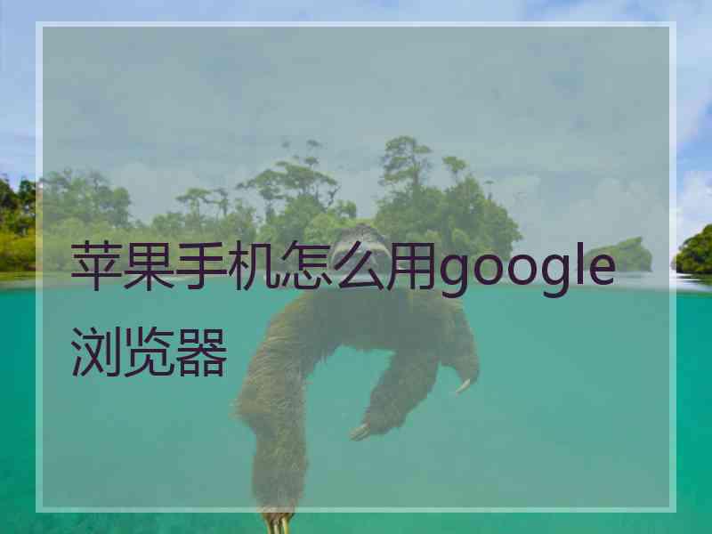 苹果手机怎么用google浏览器