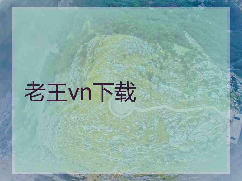 老王vn下载