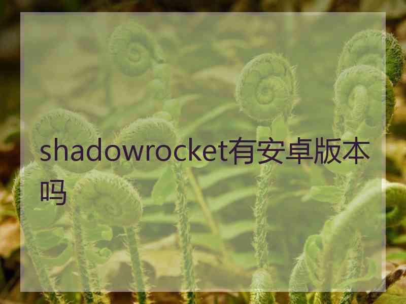 shadowrocket有安卓版本吗