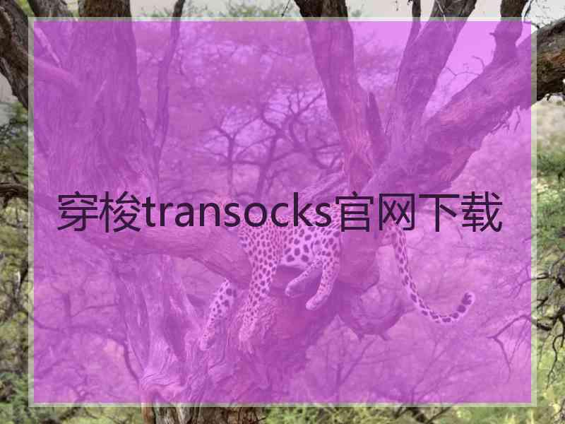 穿梭transocks官网下载