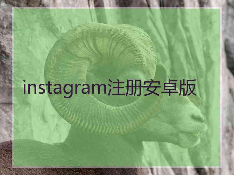 instagram注册安卓版