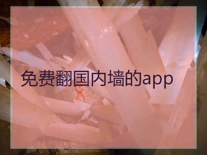 免费翻国内墙的app