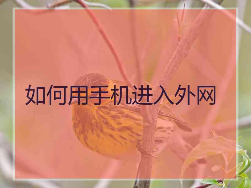 如何用手机进入外网