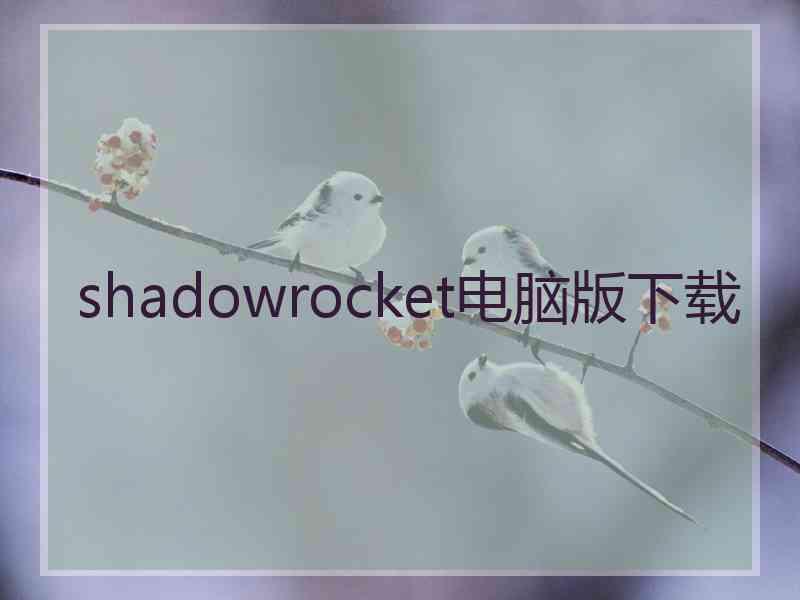 shadowrocket电脑版下载