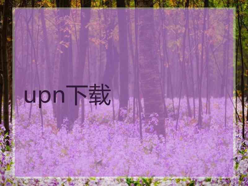 upn下载