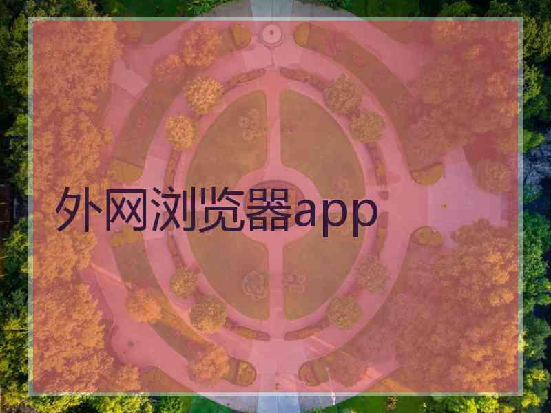 外网浏览器app