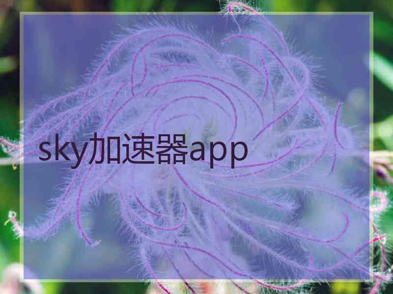 sky加速器app