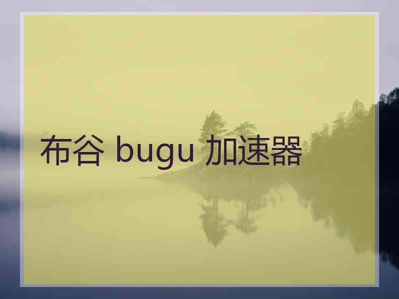 布谷 bugu 加速器