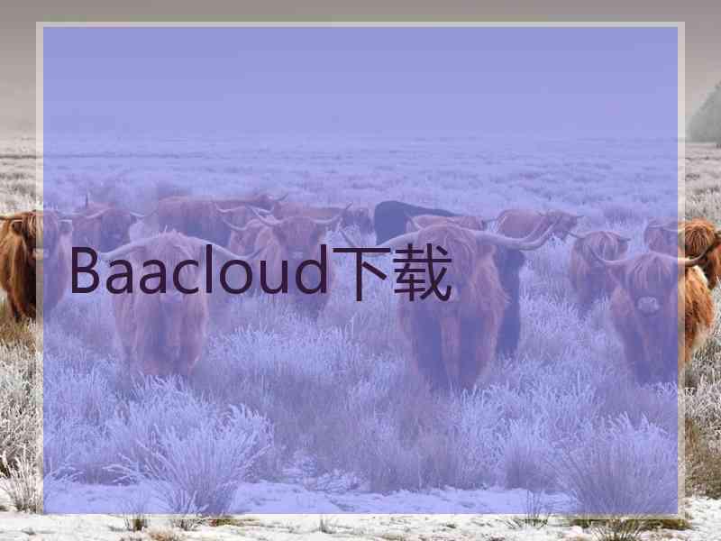 Baacloud下载