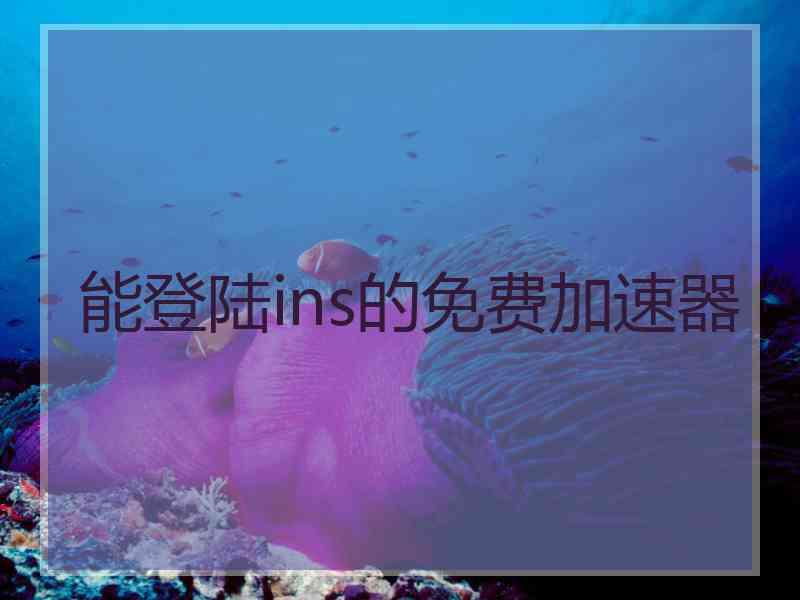 能登陆ins的免费加速器