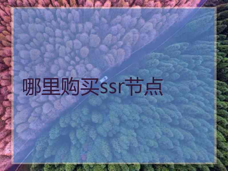 哪里购买ssr节点