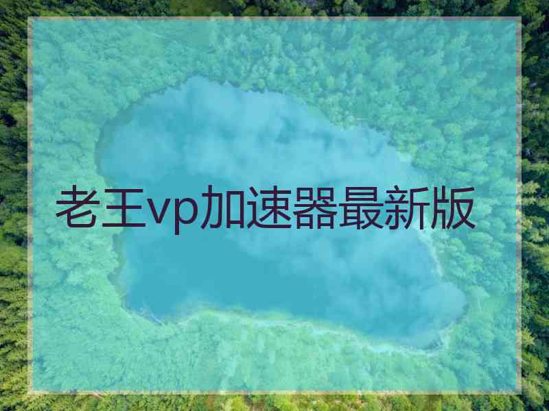 老王vp加速器最新版