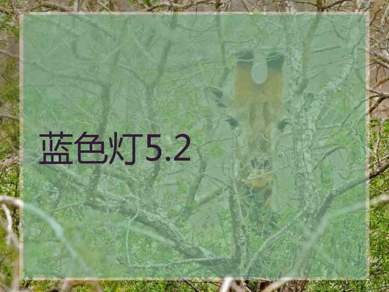 蓝色灯5.2