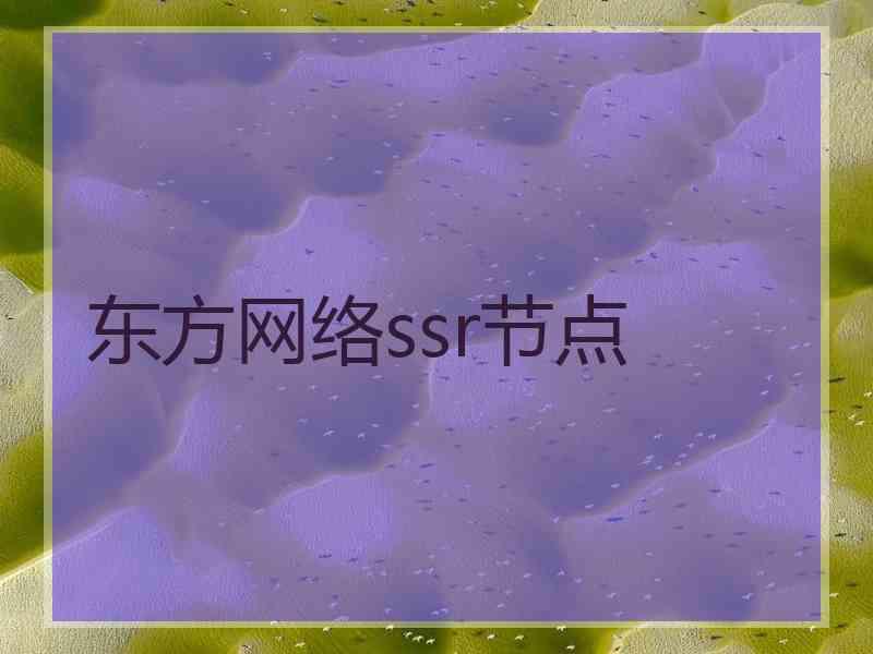 东方网络ssr节点