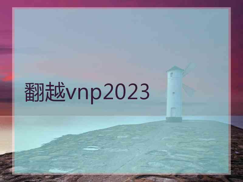 翻越vnp2023