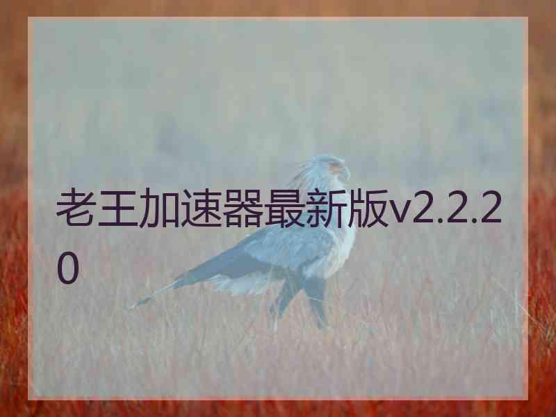 老王加速器最新版v2.2.20