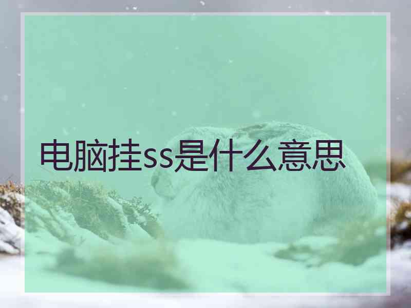 电脑挂ss是什么意思